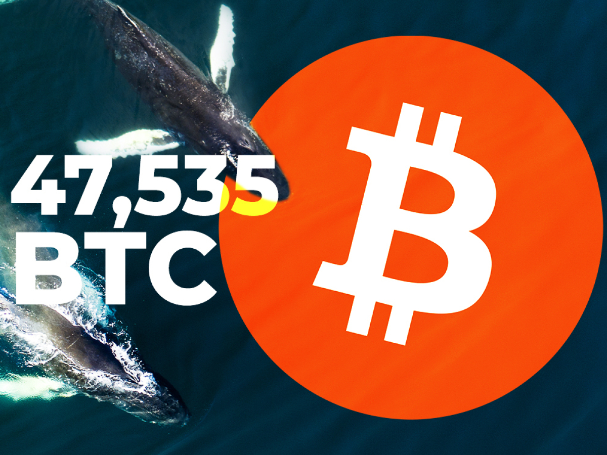 btc whale